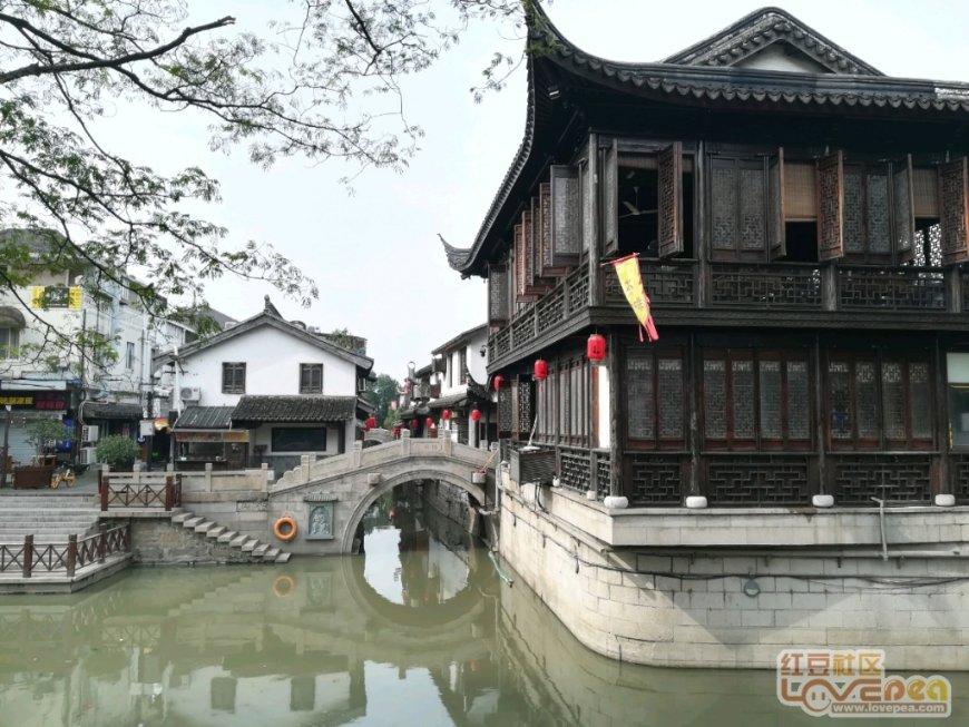 新春走基层 | 致富 “甜” 路